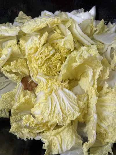 キャベツと豆腐の煮込みの作り方：6