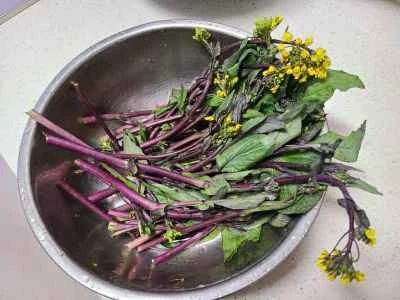 千切り大根と赤からし菜の炒め物の作り方：1