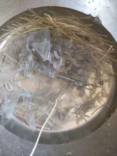 白菜入り豚バラ肉の煮込みの作り方：3