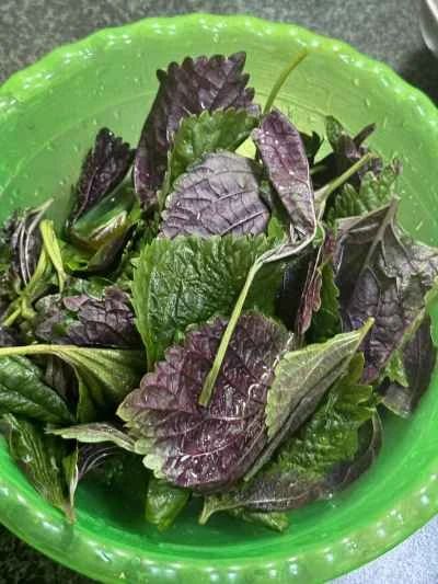 シソの葉で煮込んだ鴨肉の作り方：10