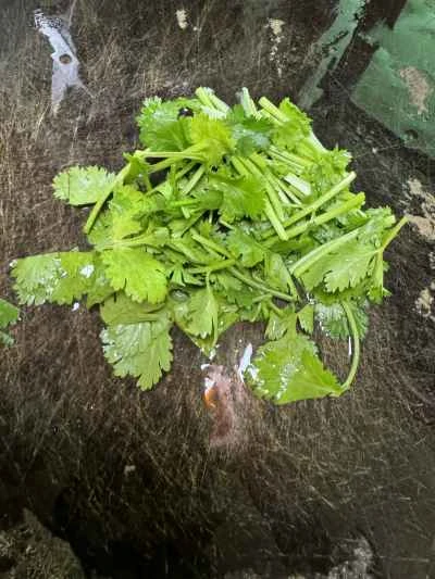 乾燥ユリのつぼみを使った煮込みトリッパの作り方：10