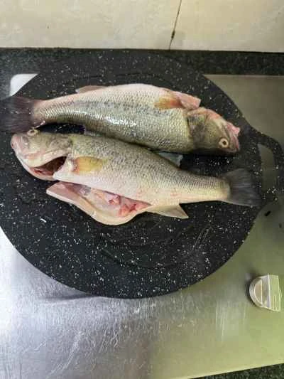 アサリとスズキの煮込みの作り方：4