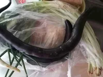 白インゲン豆とナスの炒め物の作り方：1