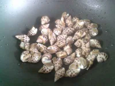 ピクルスにしたカラシナのソースを添えた茹でツブ貝の作り方：2