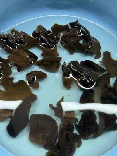 豆腐皮巻きの作り方：3