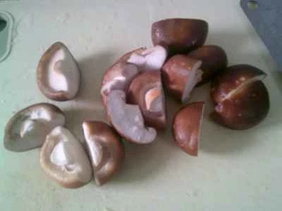 椎茸とピーマンの煮豆腐の作り方：3