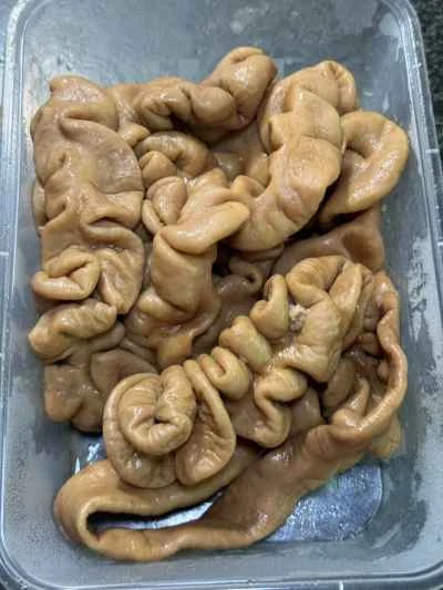 ピーマンと豚モツの炒め物の作り方：1