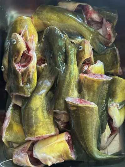 卵と豆腐入り黄ナマズの煮込みの作り方：1