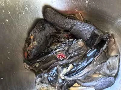 霊芝黒鶏スープの作り方：1