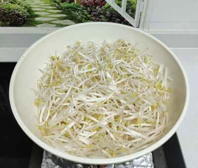 赤唐辛子入りもやし炒めの作り方：4