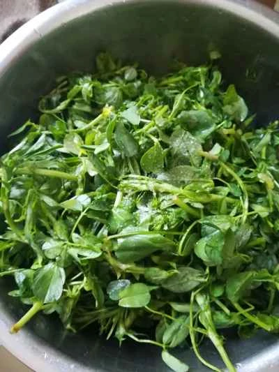 蒸しアルファルファのレシピ手順：2