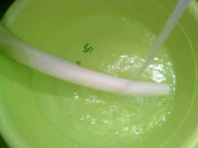 イカの足とネギの炒め物の作り方：2