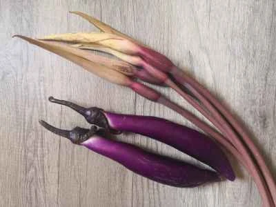 ナスとサトイモの花を作る手順：1