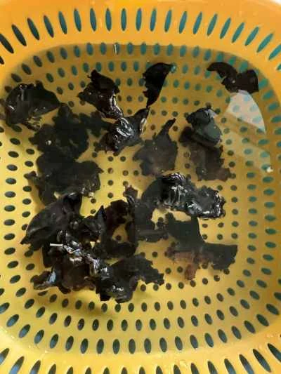 豚肉とネギとキクラゲの炒め物の作り方：1