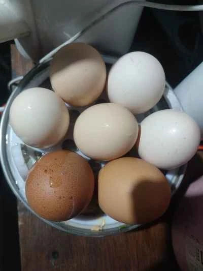 蒸し卵のレシピ手順：1