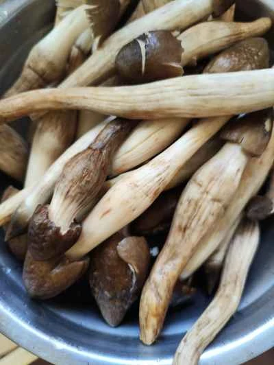 ライチ茸入り蒸し塩鶏の作り方：1