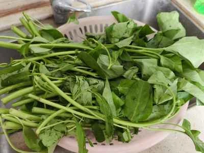 ニンニク入りクリーミーほうれん草の作り方:2