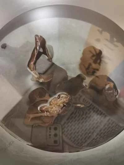 ニンニクの芽入り細切り豚肉の作り方：2