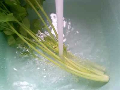 セロリ、ラムテール、タケノコ、豆腐のサラダの作り方：2