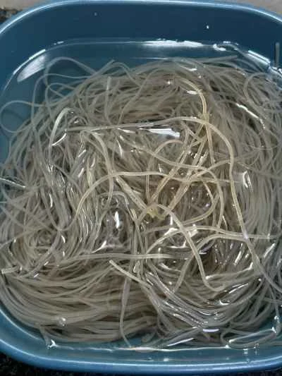 サテビーフと春雨のキャセロールの作り方：2