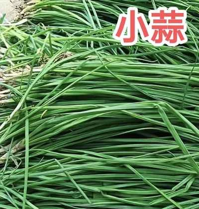 ニンニク入り豚肉炒めの作り方：1