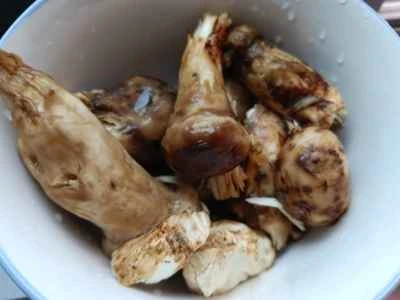 松茸炒めの手順：1