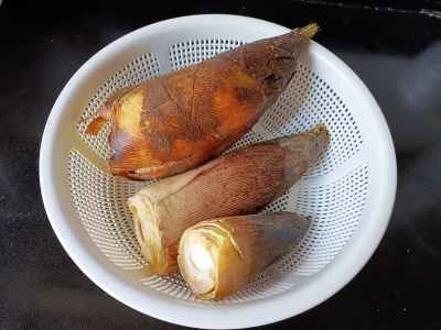 たけのこ入り塩豚の煮込みの作り方：1