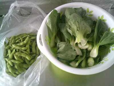 手摘み野菜と枝豆の炒め物の作り方：1