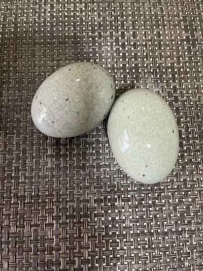 ピーマンと卵の塩炒めの作り方：1