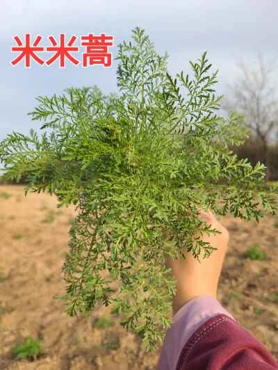 蒸し野菜とクワイのレシピ手順：2