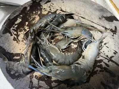 スパイシーエビの作り方：1