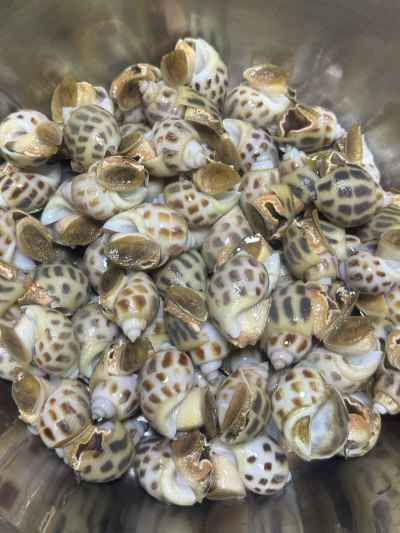 ニンニクマスタードツブ貝の作り方：1