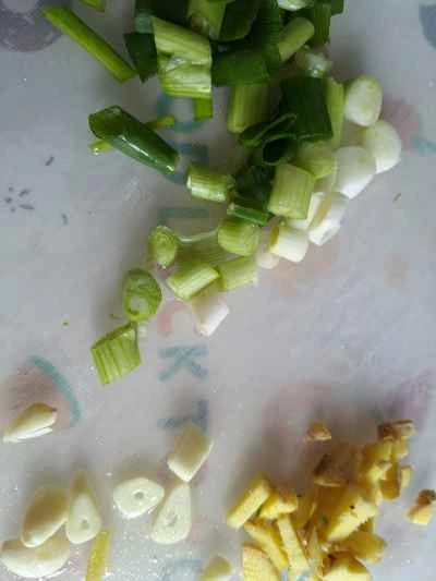 乾燥ポットの鹿角茸の作り方：3