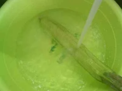 漬けたカラシナ、細切りヘチマ、角切りヘチマを使った煮豆腐の作り方：3