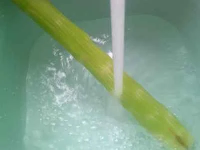 ロブスターテールボール、レタス、豆腐の炒め物を作る手順：2