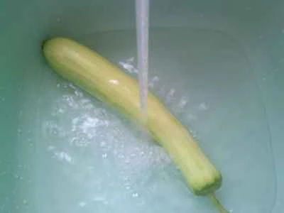 夜咲きセレウスとブロッコリーの炒め物の作り方：2