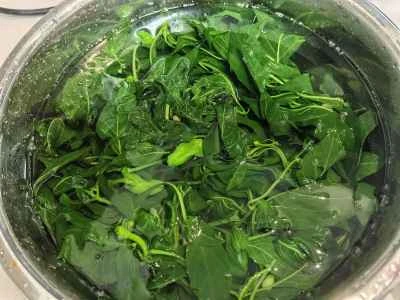 唐辛子の季節はもうすぐ終わり。唐辛子の蔓を取り除いておきましょう！調理手順：3