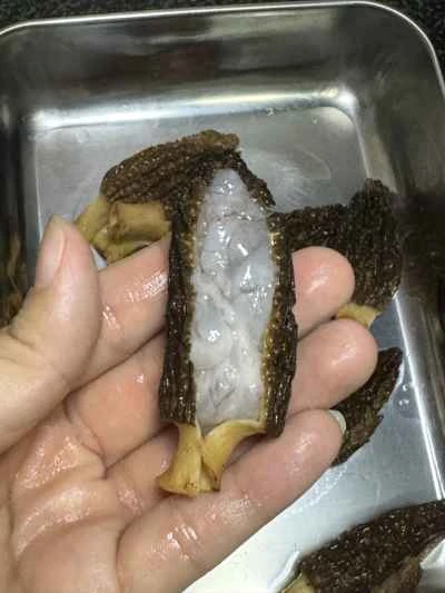 アミガサタケを詰めたエビペーストの作り方：3