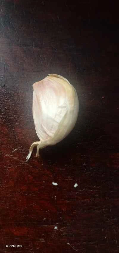 自家製ゆでキュウリのレシピ手順：2