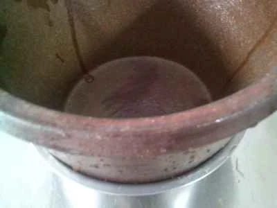 手摘み野菜と枝豆の炒め物の作り方：6