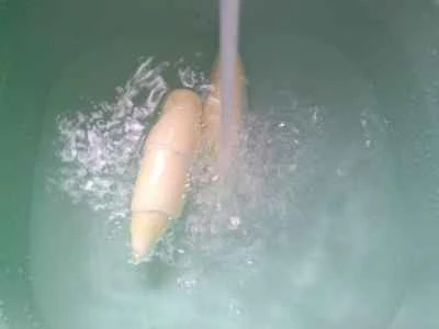 黒キクラゲ、水タケノコ、インゲンの炒め物の作り方：4