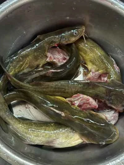 ニンニクと発酵黒豆で蒸した黄色いナマズの作り方：1