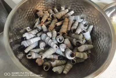 スパイシーなカタツムリ炒めの作り方：1