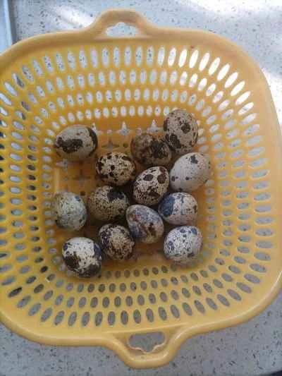 自家製豚バラ肉の煮込みレシピ手順：1