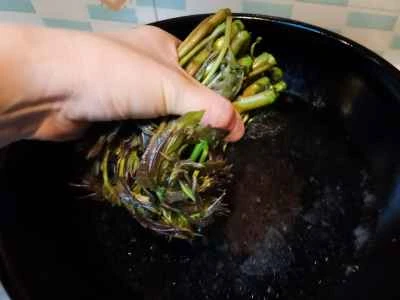 トゥーンリーフ入り卵炒めの作り方：2