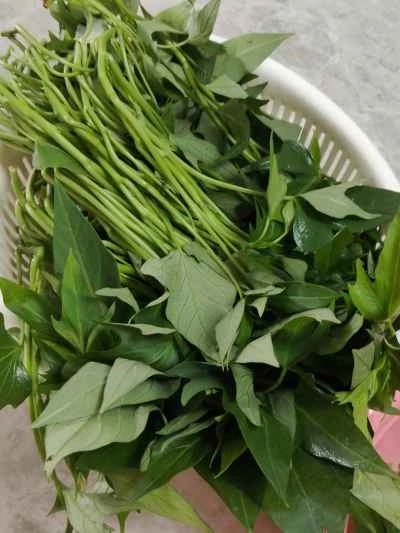 焼きチリソースで炒めたサツマイモの葉の作り方：1