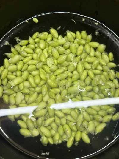 乾燥豆腐、枝豆、ひき肉の炒め物の作り方：4