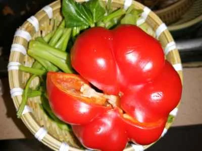 空芯菜の茎と赤唐辛子の炒め物の作り方：3