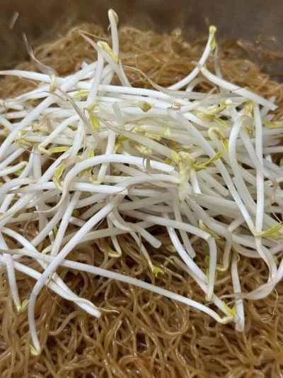 蒸し海鮮ライスヌードルの作り方：16