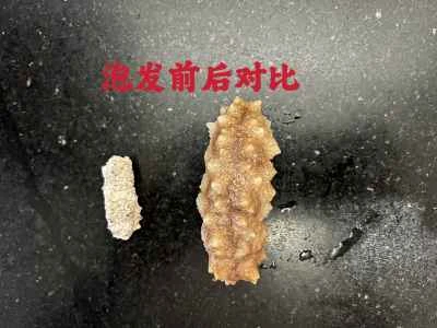 ナマコとイカの炒め物の作り方：4